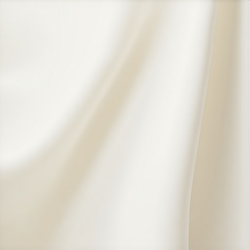 Lutz FL Wedding Dress Cleaner: Gentle & Effective Fabric Care