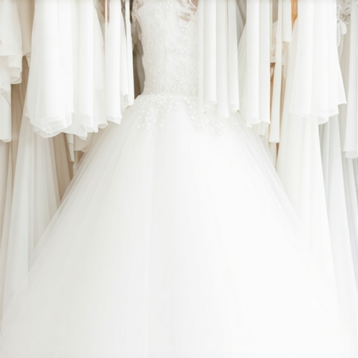 Professional Wedding Dress Dry Cleaning Tampa: Top Tips & Tricks