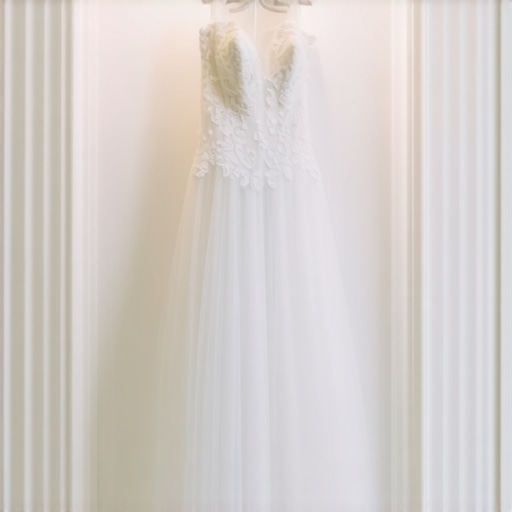 Wedding Dress Preservation Tampa: Expert Tips for Lasting Beauty